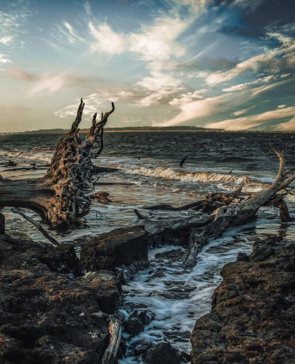 Explore Black Rock Beach at Big Talbot Island State Park