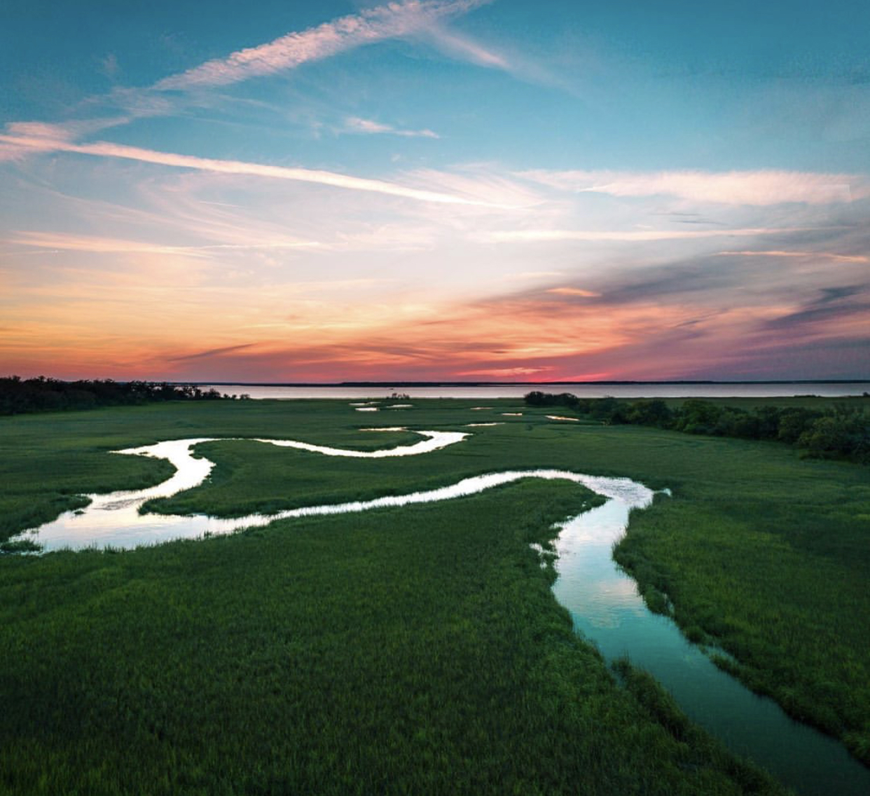 Explore Jekyll Island