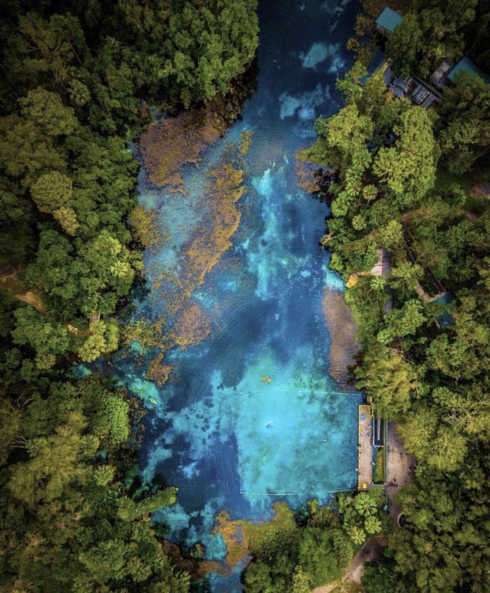 Your Guide to Florida's Natural Springs