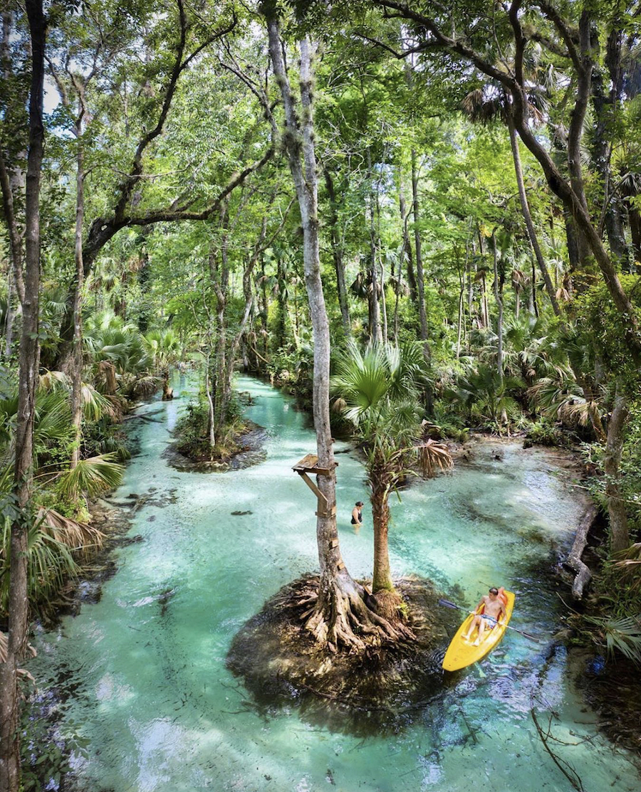 The Ultimate Florida Springs Guide