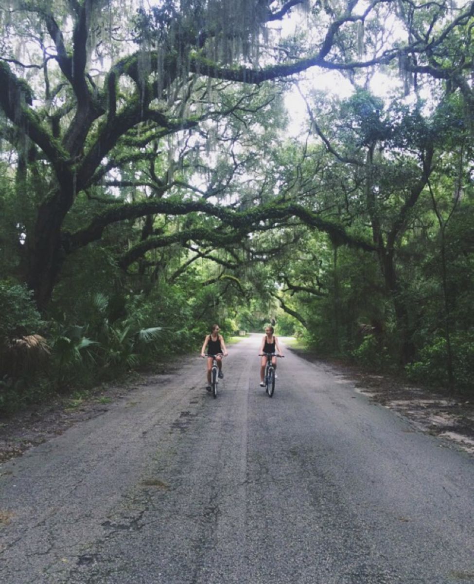 Willow Pond Nature Trail, in Fort Clinch State Park