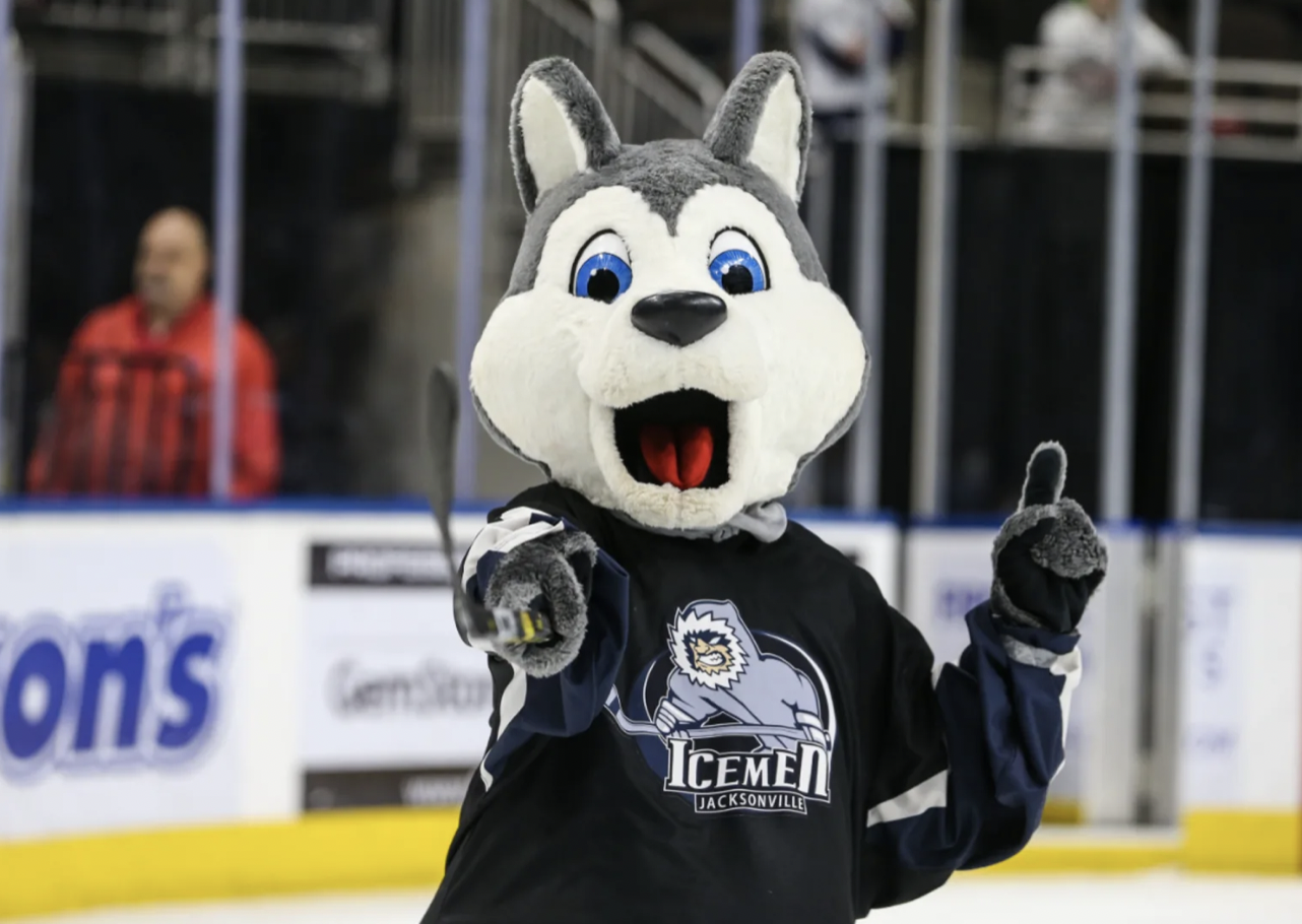 All Star Dogs: Jacksonville Icemen Pet Products